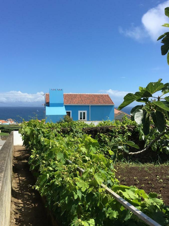 Casa Do Vizinho Villa Porto Judeu Eksteriør billede